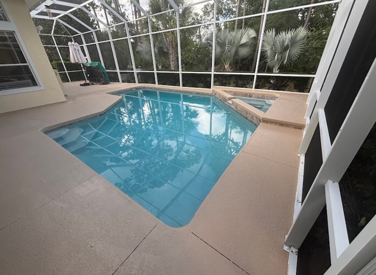 Blue swimming pool and spa inside a white screened enclosure with lush tropical trees.